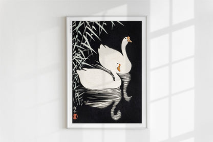 Ohara Koson - White Chinese Geese Swimming by Reeds - Art Only - White Frame