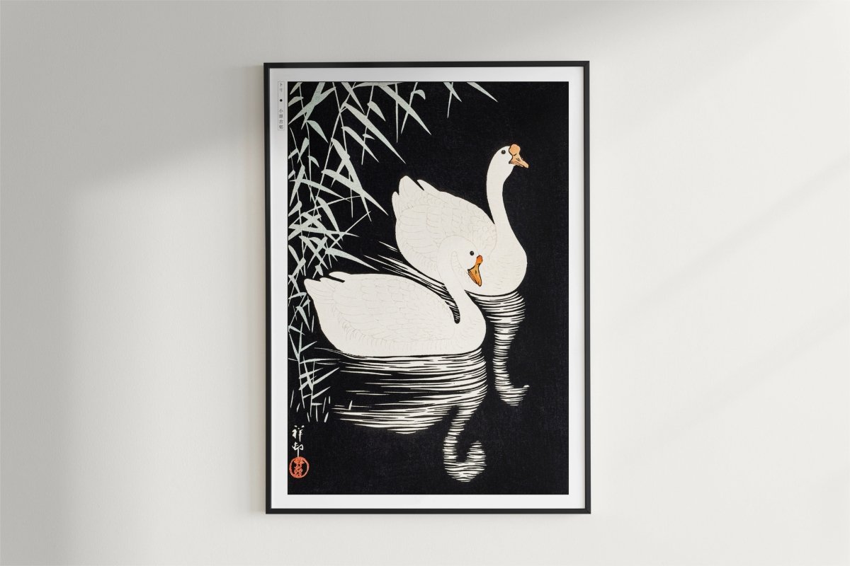 Ohara Koson - White Chinese Geese Swimming by Reeds - Art Only - Black Frame