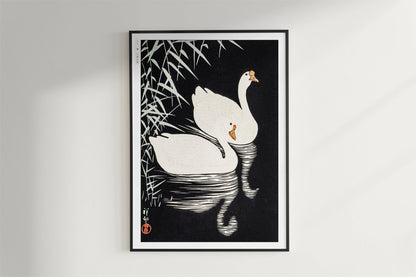 Ohara Koson - White Chinese Geese Swimming by Reeds - Art Only - Black Frame