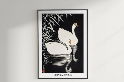 Ohara Koson - White Chinese Geese Swimming by Reeds - Artist Name Unframed