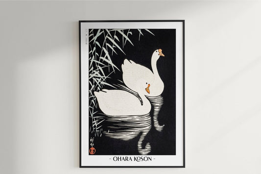 Ohara Koson - White Chinese Geese Swimming by Reeds - Artist Name Unframed
