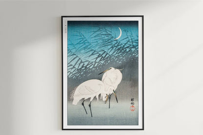 Ohara Koson - Egrets & Reeds in Moonlight - Art Only - Unframed