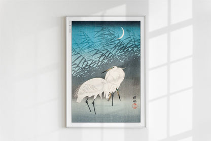 Ohara Koson - Egrets & Reeds in Moonlight - Art Only - White Frame