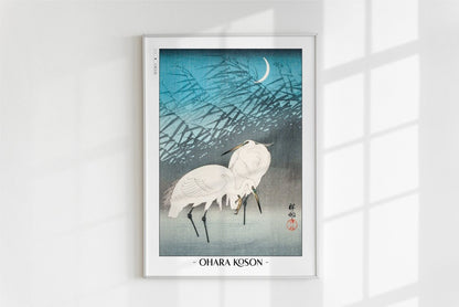 Ohara Koson - Egrets & Reeds in Moonlight - Artist Name - White Frame
