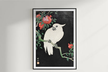 Ohara Koson - Parrot & Pomegranate - Art Only - Unframed