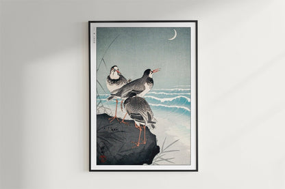 Ohara Koson - Snipes at the Shore - Art Only - Black Frame