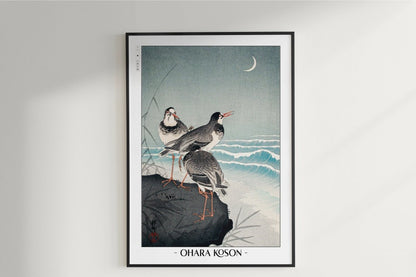 Ohara Koson - Snipes at the Shore - Artist Name Unframed