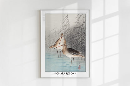 Ohara Koson - Two Bar-Tailed Godwits - Artist Name - White Frame