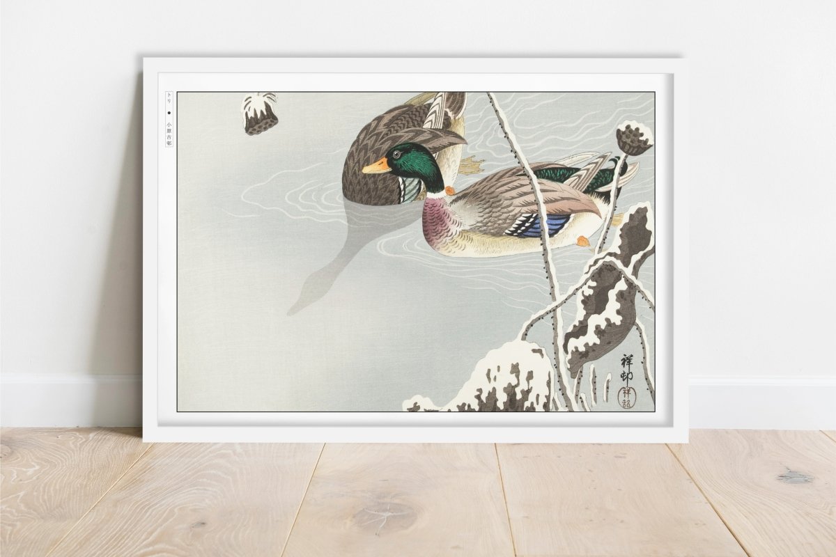 Ohara Koson - Two Mallards near a Snow-Covered Lotus - Art Only - White Frame