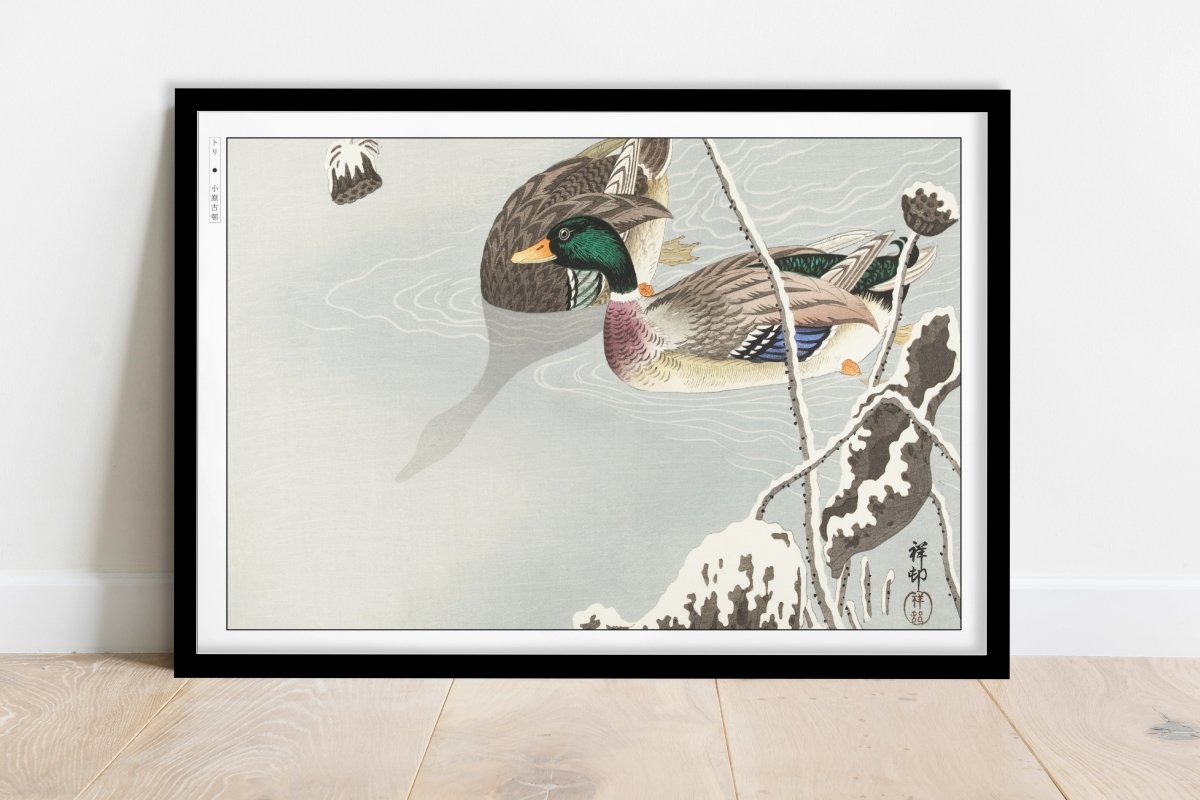 Ohara Koson - Two Mallards near a Snow-Covered Lotus - Art Only - Black Frame