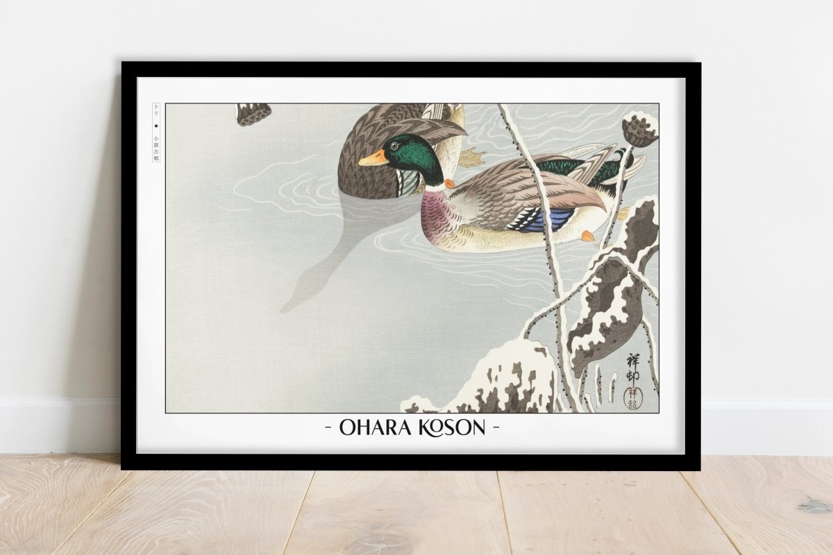 Ohara Koson - Two Mallards near a Snow-Covered Lotus - Artist Name - Black Frame