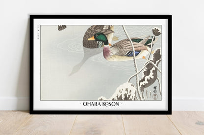Ohara Koson - Two Mallards near a Snow-Covered Lotus - Artist Name - Black Frame