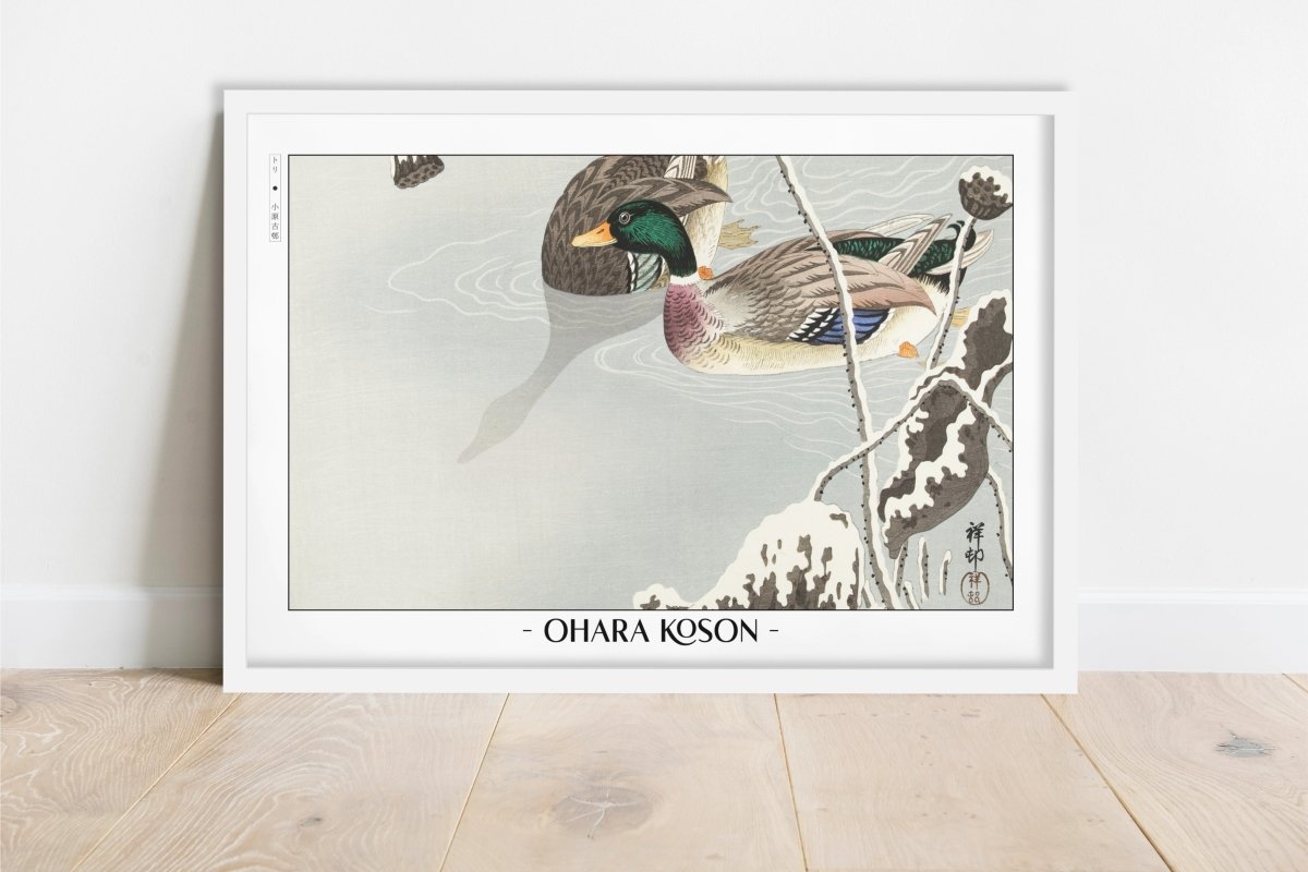 Ohara Koson - Two Mallards near a Snow-Covered Lotus - Artist Name - White Frame