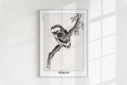 Hokusai - Owl - Artist Name - White Frame