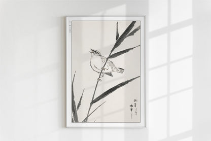 Numata Kashu - Bunting Bird Upon a Reed - Art Only - White Frame
