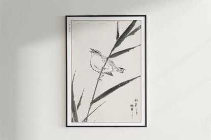 Numata Kashu - Bunting Bird Upon a Reed - Art Only - Black Frame