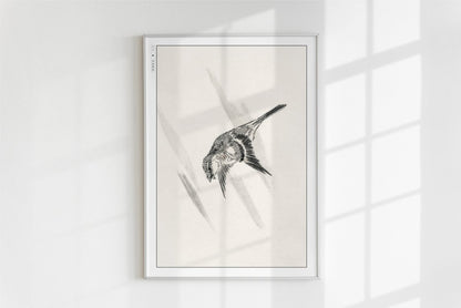 Numata Kashu - Lesser Cuckoo - Art Only - White Frame