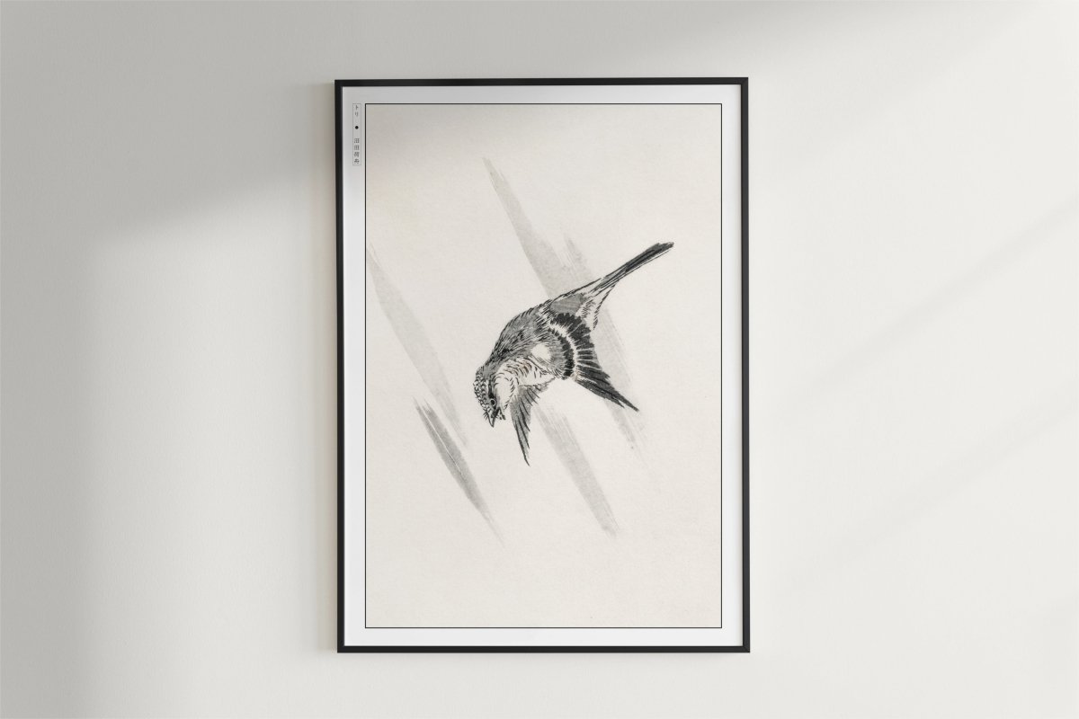 Numata Kashu - Lesser Cuckoo - Art Only - Black Frame