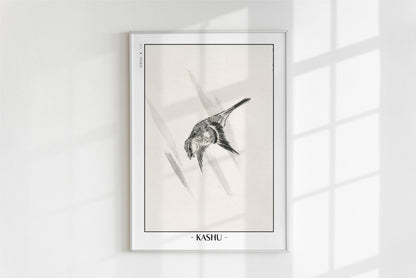 Numata Kashu - Lesser Cuckoo - Artist Name - White Frame