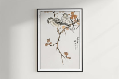 Numata Kashu - Siskin & Euonymus Alata - Art Only - Black Frame