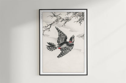 Numata Kashu - Hondo Great Spotted Woodpecker - Art Only - Black Frame
