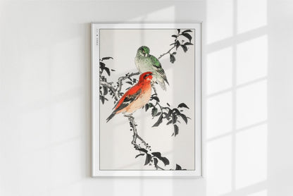 Numata Kashu - Crossbill - Art Only - White Frame