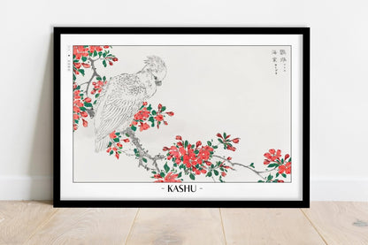 Numata Kashu - The Parrot & The Pyrus - Artist Name - Black Frame