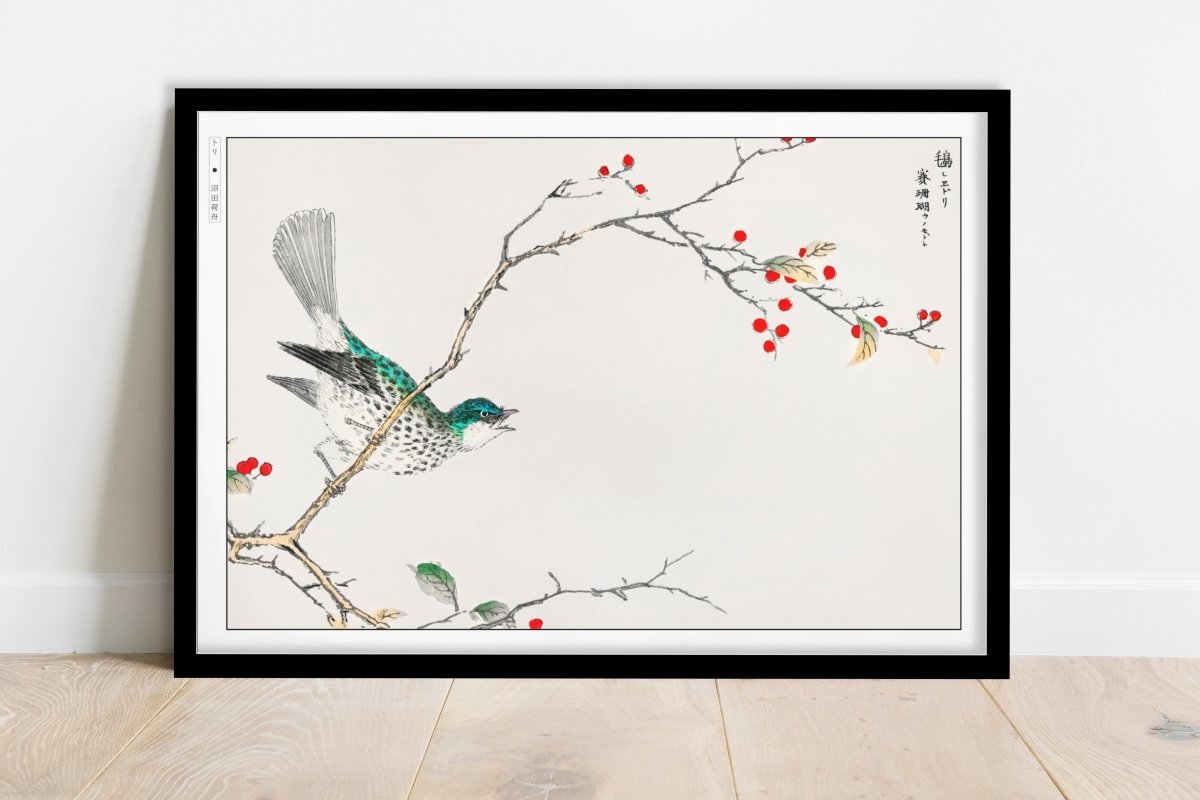 Numata Kashu - Brown-Eared Bulbul & Holly - Art Only - Black Frame