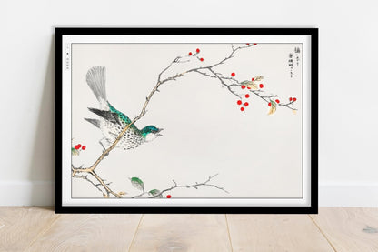 Numata Kashu - Brown-Eared Bulbul & Holly - Art Only - Black Frame