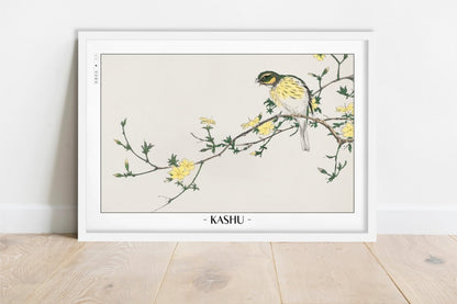 Numata Kashu - Japanese Bunting & Plum Tree - Artist Name - White Frame