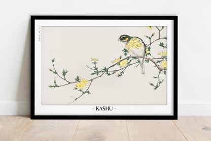 Numata Kashu - Japanese Bunting & Plum Tree - Artist Name - Black Frame