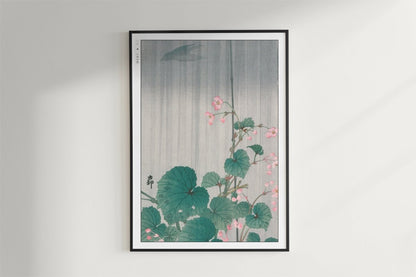 Ohara Koson - Begonia in the Rain - Art Only - Black Frame