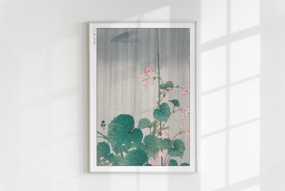 Ohara Koson - Begonia in the Rain - Art Only - White Frame