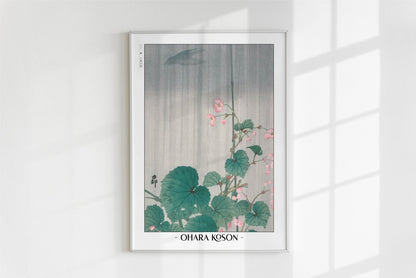 Ohara Koson - Begonia in the Rain - Artist Name - White Frame