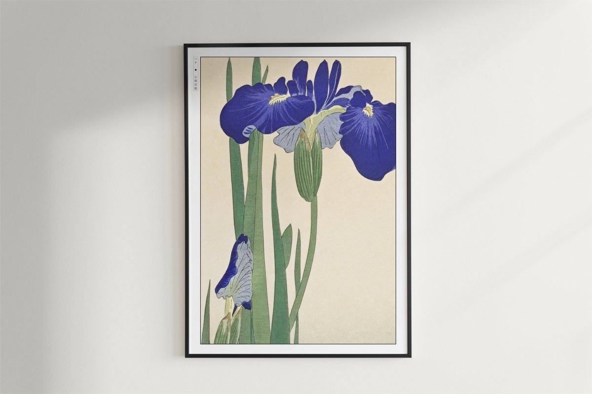 Ohara Koson - Blue Irises - Art Only - Black Frame