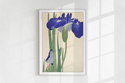 Ohara Koson - Blue Irises - Art Only - White Frame