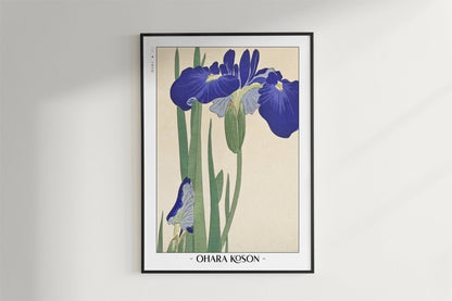 Ohara Koson - Blue Irises - Artist Name - Black Frame