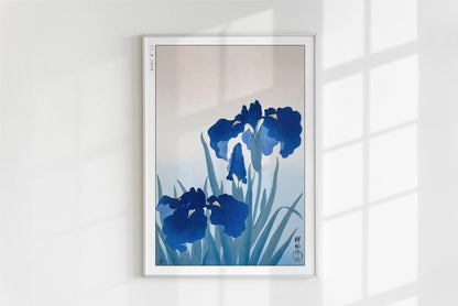 Ohara Koson - Irises - Art Only - White Frame