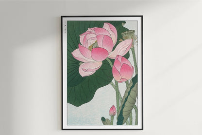Ohara Koson - Blooming Lotus Flowers - Art Only - Unframed