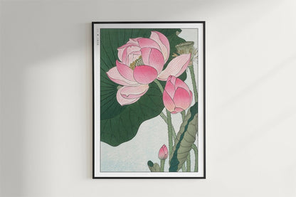 Ohara Koson - Blooming Lotus Flowers - Art Only - Black Frame