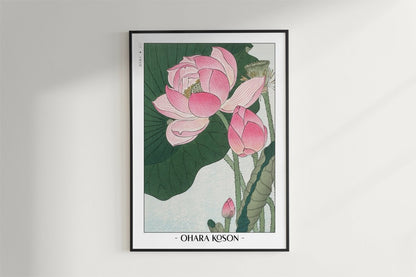 Ohara Koson - Blooming Lotus Flowers - Artist Name - Black Frame
