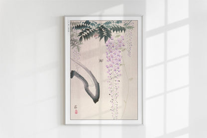 Ohara Koson - Wisteria & Bee - Art Only - White Frame