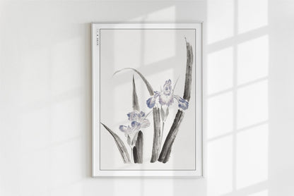Hokusai - Japanese Irises - Art Only - White Frame