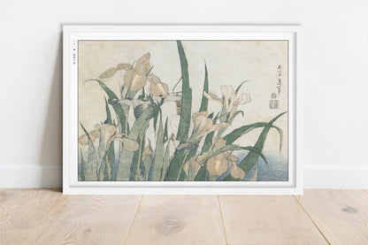 Hokusai - Irises & Grasshopper - Art Only - White Frame