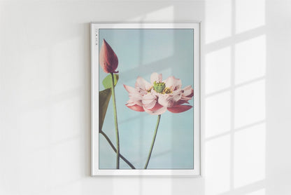Flower Ukiyo - e Wall Art - Eastern Archivals