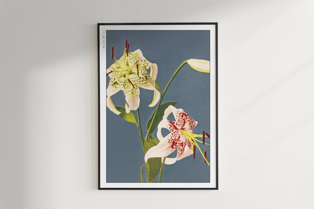 Ogawa Kazumasa - Iris Kaempferi - Artist Name - White Frame