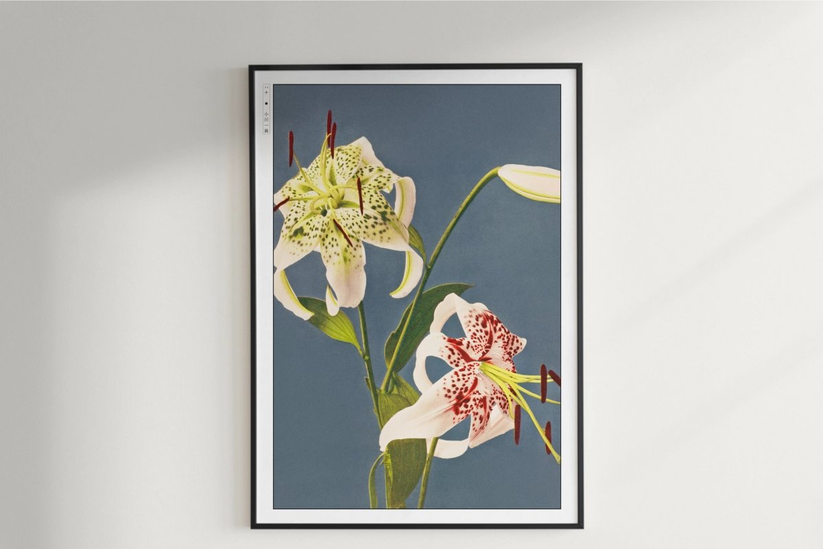 Ogawa Kazumasa - Iris Kaempferi - Artist Name Unframed