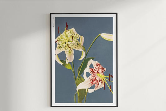 Ogawa Kazumasa - Iris Kaempferi - Artist Name Unframed