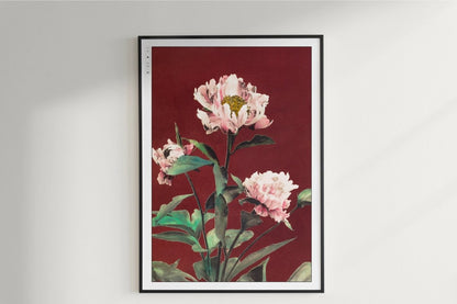 Ogawa Kazumasa - Japanese Irises - Artist Name Unframed