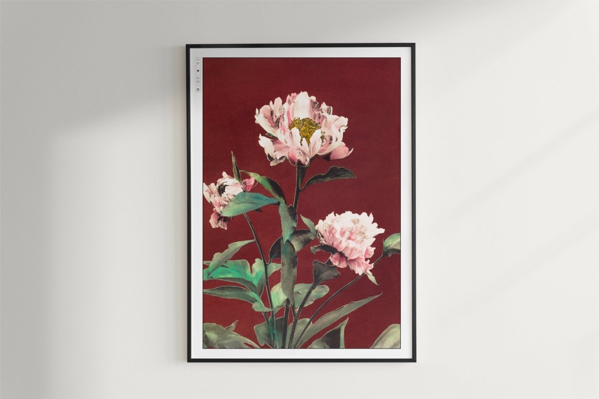 Ogawa Kazumasa - Japanese Irises - Artist Name - White Frame